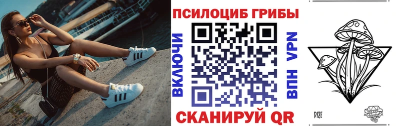 Купить где  Ртищево  Галлюциногенные грибы Cubensis 